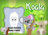 Koala Collage Free Digital Frame