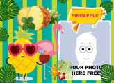 Pineapple Photo Collage for Iphone Free